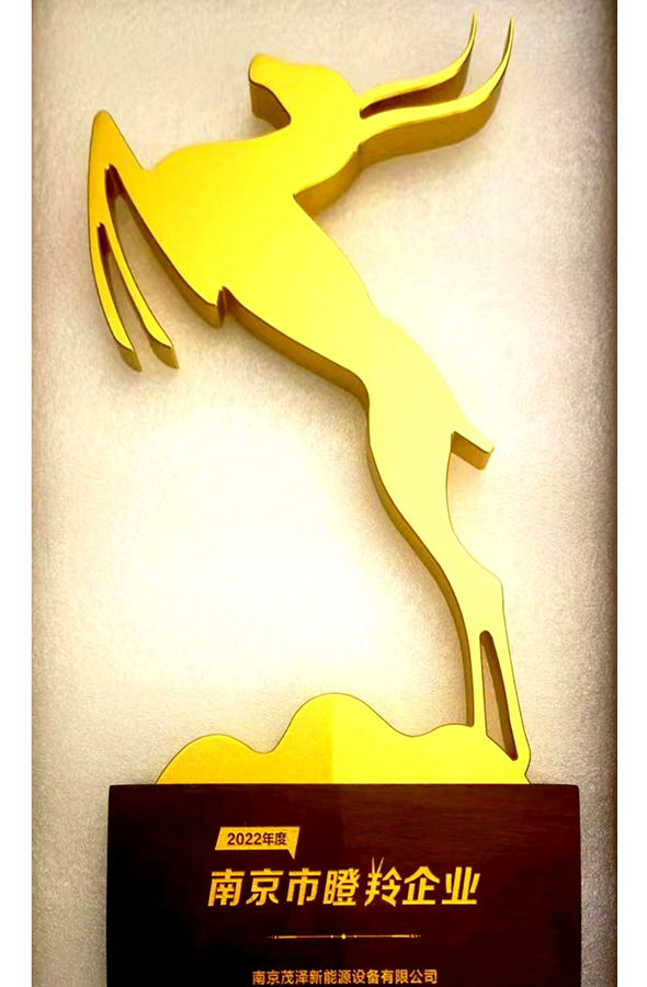 南京市瞪羚企业